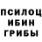 Псилоцибиновые грибы ЛСД Alexey Bogdashkin